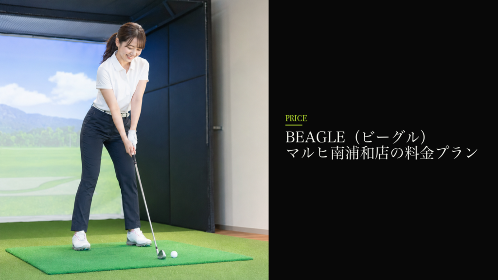 BEAGLE（ビーグル） マルヒ南浦和店の料金プラン