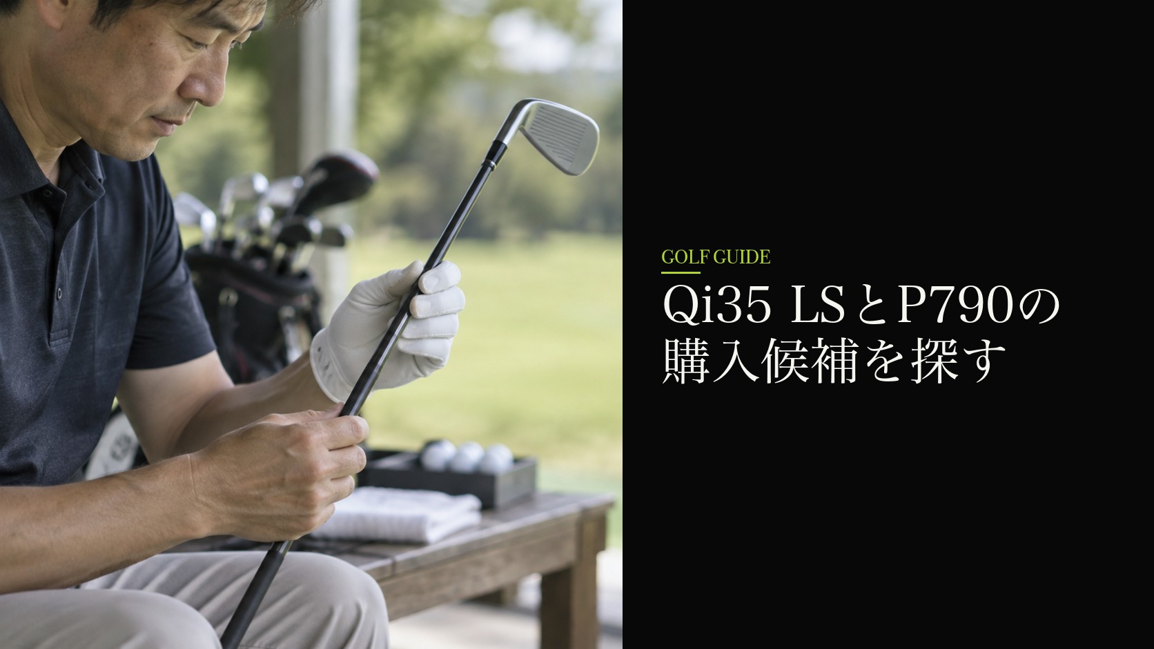 Qi35 LSとP790の購入候補を探す