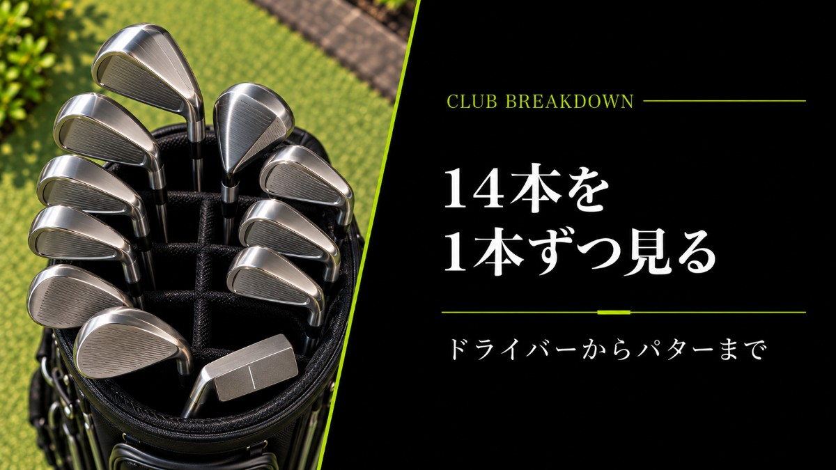 14本を1本ずつ見る